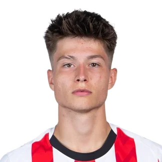 Esmir Bajraktarević
